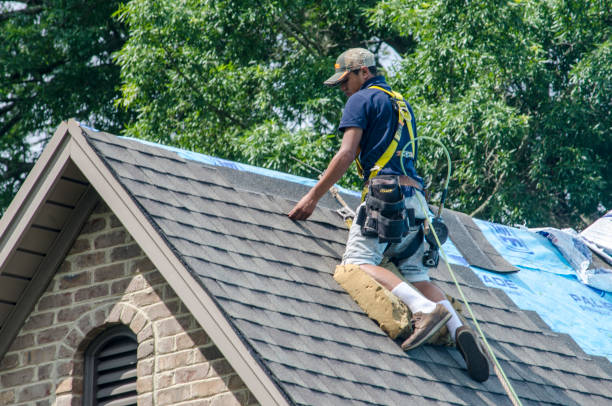 Best Gutter Installation and Roofing  in Jim Thorpe, PA